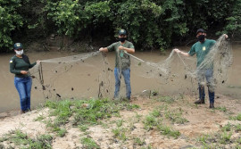Naturatins realiza 1.611 ações e operações de fiscalização durante 2021