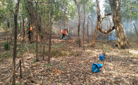 Naturatins realiza 195 queimas prescritas e 122 ações de combate a queimadas ilegais e incêndios em 2021