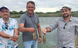 Governo do Tocantins discute implantação de projeto de carcinicultura no Tocantins