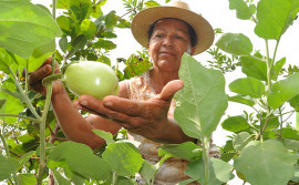 Governo do Tocantins incentiva comunidades à participarem do Prêmio Mulheres Rurais