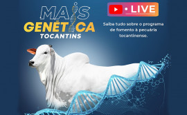 Governo do Tocantins realiza live sobre ações de programa sobre genética, nesta quinta, 13