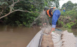 Operação conjunta do Naturatins e BPMA registra vários crimes ambientais na região norte do Tocantins