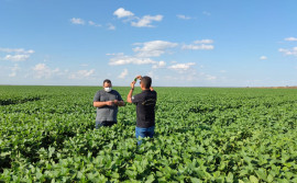 Governo do Tocantins consegue autorização do Ministério da Agricultura para manutenção de cultivo excepcional de soja nas planícies tropicais