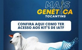 Governo do Tocantins disponibiliza kits de Inseminação Artificial do Programa Mais Genética