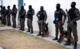 Núcleo de Operação com Cães da Polícia Penal do Tocantins celebra um ano com atuação em diversas operações policiais