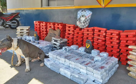 Forças de Segurança apresentam resultados da operação Hórus 2021 com mais de 1 tonelada de drogas apreendidas e mais de R$ 22 milhões em prejuízos ao crime