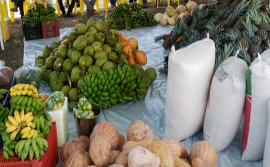 Governo do Tocantins inicia execução do programa Alimenta Brasil