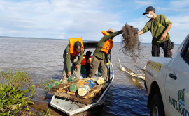 Naturatins e Polícia Militar Ambiental realizam operações de fiscalização simultânea em diversas regiões do Tocantins