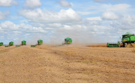 Tocantins registra R$ 18,8 bilhões do Valor da Produção Agropecuária de 2021 e se consolida como terceiro estado com maior índice da região Norte