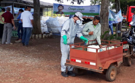 Com atuação da Adapec no campo, produtores rurais tocantinenses devolvem mais de mil toneladas de embalagens vazias de agrotóxicos em 2021
