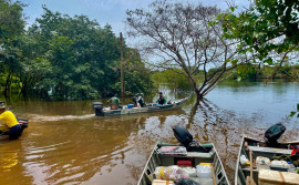 Ações de fiscalização do Naturatins e Polícia Militar recolhem aves e apetrechos de pesca predatória na Operação Piracema