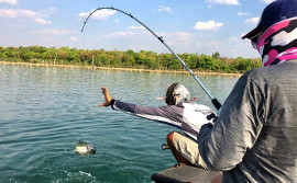 Governo do Tocantins alerta para a importância de respeitar o período de reprodução dos peixes