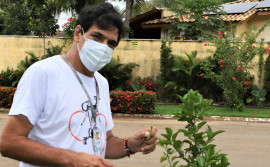 Programa Restaura-TO incentiva plantio de mudas do Cerrado pela comunidade 