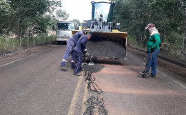 Governo do Tocantins garante escoamento de eucalipto reflorestado com manutenção da rodovia TO-010