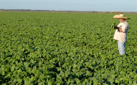 Governo do Tocantins participa do lançamento da cartilha sobre Programa de Apoio ao Seguro Rural