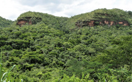Secretaria do Meio Ambiente e Recursos Hídricos realiza capacitação para municípios sobre o ICMS Ecológico