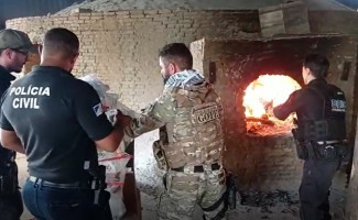 Em Gurupi, Polícia Civil incinera entorpecentes e milhares de comprimidos de anfetamina e estimulante sexual