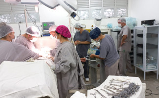 Unidades hospitalares do Tocantins realizam mais de 300 cirurgias eletivas em 15 dias 