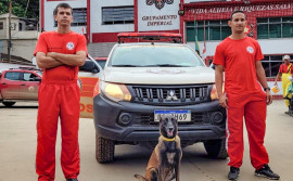 Equipe de bombeiros militares do Tocantins já atua nas buscas em Petrópolis