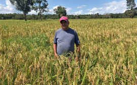 Agricultores comemoram cultivo das sementes distribuídas pelo programa Mesa Farta