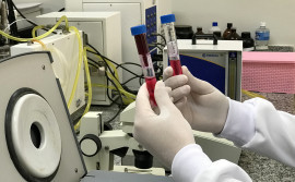 Fapt promove Seminário de Avaliação Final do Programa Pesquisa para o SUS desenvolvido no Tocantins