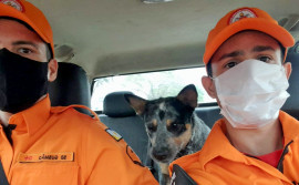 Bombeiros militares que atuam nas buscas em Petrópolis serão substituídos por uma nova equipe