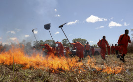 Governo do Tocantins orienta municípios sobre pré-requisitos para cursos de Formação de Brigadas