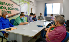 Adapec reúne grupo gestor para debater retirada da vacinação contra febre aftosa