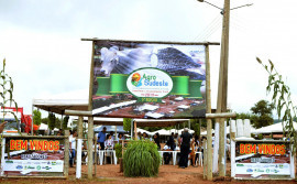 Com apoio do Governo do Tocantins, Agrosudeste traz novidades sobre principais cadeias produtivas da região