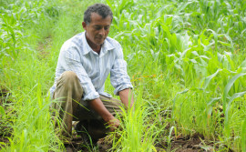 Seagro abre inscrições de Credenciamento Social de Agricultores Familiares para Agrotins 2022