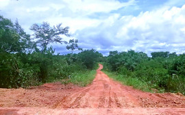 Ageto realiza ação de contenção de erosão da cabeceira de ponte na TO-020, entre Centenário e Lizarda