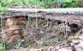 Governo do Tocantins recupera área degradada da TO-255, entre Ponte Alta e Monte do Carmo