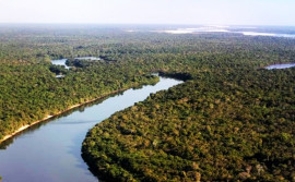 Preservação do Cerrado é fundamental para garantir acesso à água em todo o Brasil