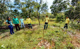 Propriedades rurais atendidas pelo programa Restaura-TO do Governo do Tocantins recebem visita técnica