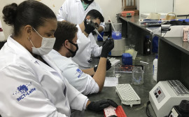 Fapt divulga edital sobre processo de concessão de bolsas de mestrado e doutorado para pesquisadores tocantinenses