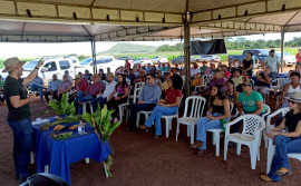 Ruraltins e parceiros realizam Dia de Campo sobre o cultivo do açafrão-da-terra no Tocantins