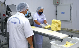 Empresas cadastradas no Serviço de Inspeção Estadual e com selo Sisbi terão benefícios em análises de amostras laboratoriais