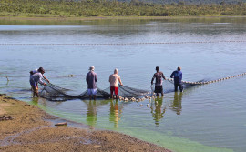 Primeiro dia de Campo da AgroSudeste reúne mais de 100 produtores e acadêmicos interessados em piscicultura