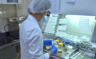 Banco de Leite do Hospital Dona Regina realiza comemoração de seus 20 anos