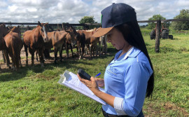 Adapec atualiza sistema de cadastro de propriedades rurais