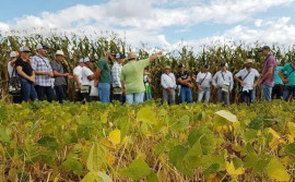 Governo do Tocantins organiza caravanas de agricultores familiares dos 139 municípios tocantinenses para participação na Agrotins 2022
