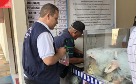 Agência de Metrologia orienta sobre compras de produtos da Páscoa