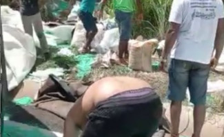 Polícia Civil identifica e indicia dois suspeitos de saquearem carga de fertilizantes no norte do estado