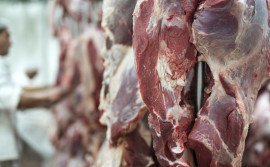 Governo do Tocantins sanciona lei que restabelece incentivo fiscal para indústrias do setor frigorífico