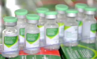 Saúde alerta para importância da imunização contra o HPV em adolescentes e pessoas imunossuprimidas