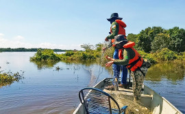 Naturatins divulga resultado de ações de fiscalização que coíbem pesca predatória, desmatamento ilegal e tráfico de aves no Tocantins