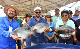 Ruraltins tem programação para as principais cadeias produtivas do Estado na Agrotins 2022