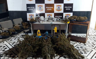  Operação Tapuio: Polícia Civil descobre plantação de maconha, fecha fábrica de entorpecentes e apreende grande quantidade de drogas no norte o Estado 