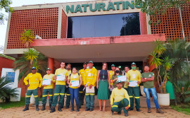 Governo do Tocantins inicia capacitação de brigadistas