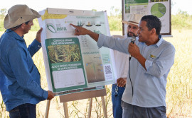 Em Dia de Campo, Governo do Tocantins orienta famílias indígenas Xerente sobre cultura do arroz